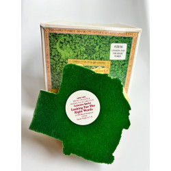 Looking For The Right Words Pocket Dragon - Collectors Club & Friends Special 1996/1997 - Boxed - Whimsical World - Hand Made
