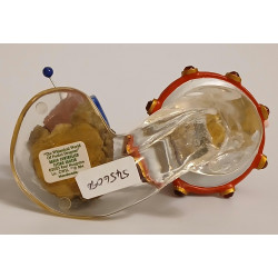 Radio Controlled Flying Saucer Pocket Dragon Hand Made Real Musgrave Whimsical World Of Pocket Dragons