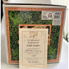 Puddle Jumpers Pocket Dragon - Boxed + Certificate - Worldwide Limited Edition (1545) of 4500 -  Real Musgrave Whimsical World - 2000
