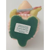 Playing Princess Pocket Dragon - The Whimsical World Of Pocket Dragons - Hand Made - 2000